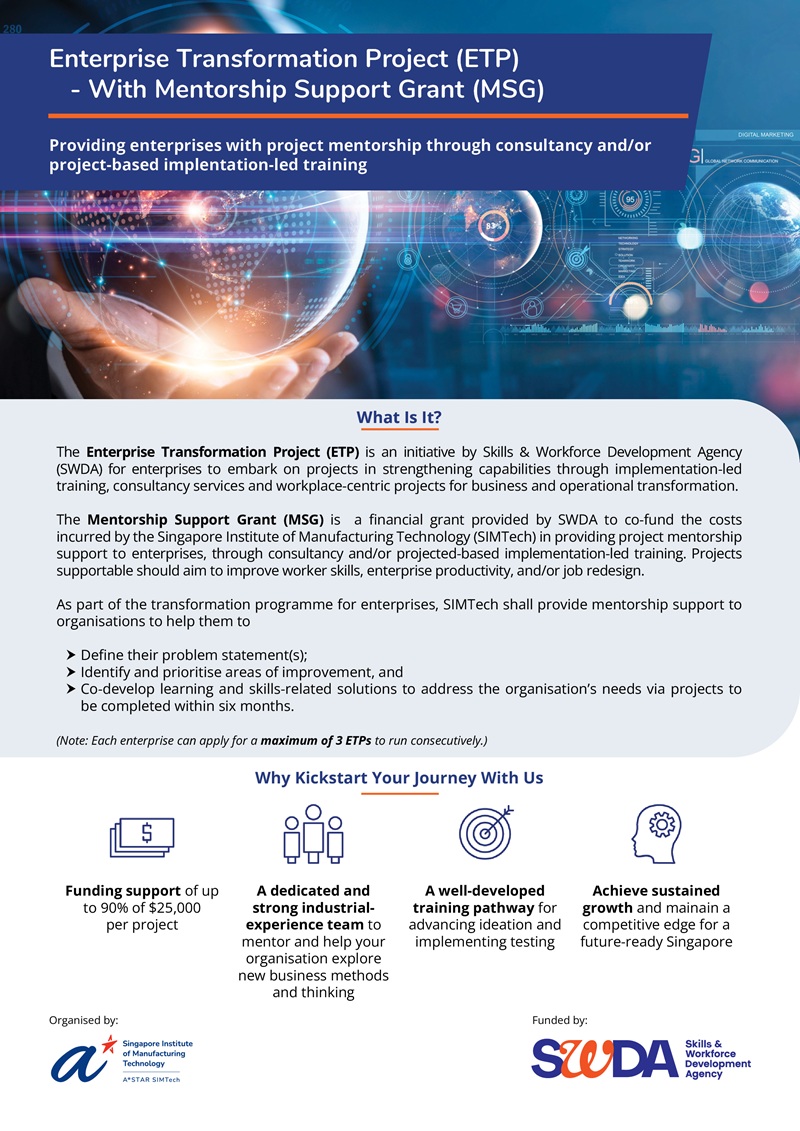 Enterprise Transformation Project with Mentorship Support Grant